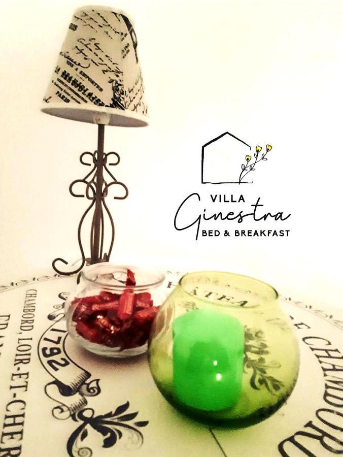 B&B Villa Ginestra ペスカーラ エクステリア 写真